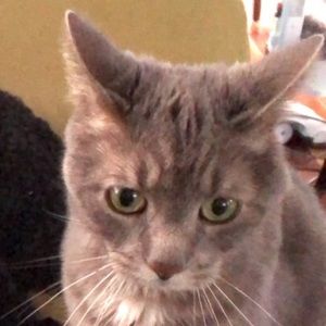 Meet your Posher, Melissamelissa